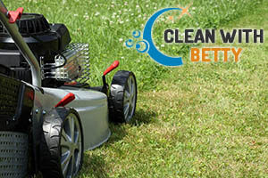 Lawn Care Fulham