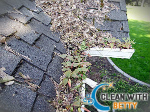 cleaning-gutter-fulham